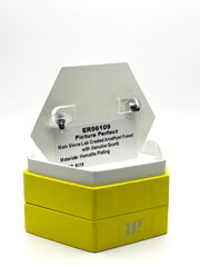 Picture Perfect-ER96109