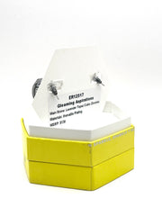 Gleaming Aspirations-ER12517