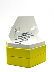 Capturing Greatness-RBP8517